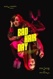 Bad Hair Day 2024 one on netflix
