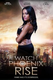 Watch Phoenix Rise 2014 one on netflix