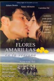 Flores amarillas en la ventana 1996 one on netflix