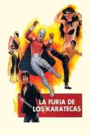 The Fury of the Karate Experts 1982 one on netflix