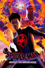 Spider-Man: Across the Spider-Verse 2023 one on netflix