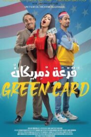 Green Card 2022 one on netflix