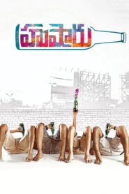 Hushaaru 2018 one on netflix