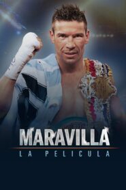 Marvelous, the Film 2014 one on netflix