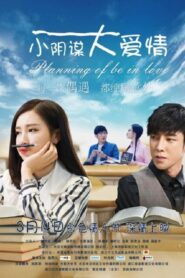 Planning Of Be In Love 2017 one on netflix
