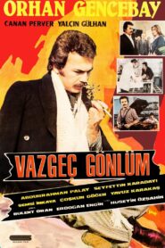 Vazgeç Gönlüm 1980 one on netflix