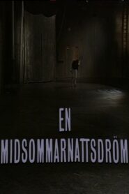 En midsommarnattsdröm 1990 one on netflix