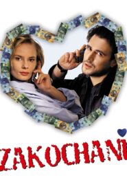 In Love 2000 one on netflix