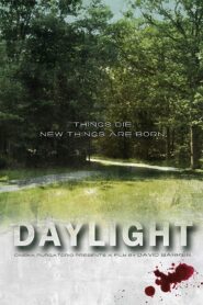 Daylight 2011 one on netflix