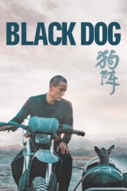 Black Dog 2024 one on netflix