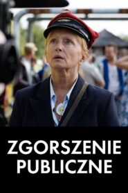 Zgorszenie publiczne 2009 one on netflix
