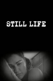 Still Life 2007 one on netflix