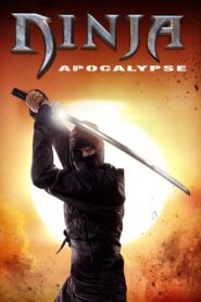 Ninja Apocalypse 2014 one on netflix