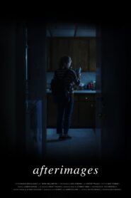 Afterimages 2020 one on netflix
