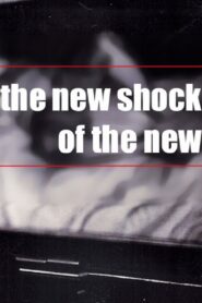The NEW Shock of the New 2004 one on netflix