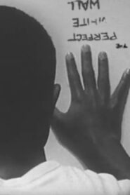 The Perfect White Wall 1996 one on netflix
