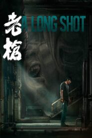 A Long Shot 2024 one on netflix