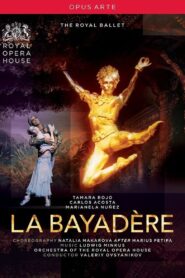 La Bayadère 2011 one on netflix