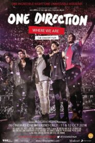 One Direction: Where We Are – The Concert Film 2014 one on netflix