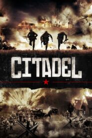 Burnt by the Sun 2: Citadel 2011 one on netflix