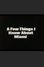 A Few Things I Know About Miami 1986 one on netflix