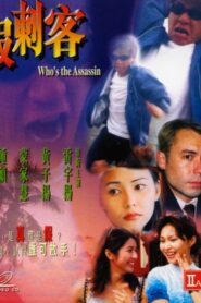 Who’s the Assassin 1999 one on netflix