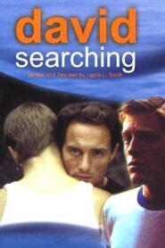 David Searching 1997 one on netflix
