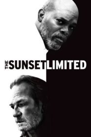 The Sunset Limited 2011 one on netflix