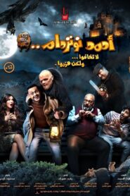 Ahmed Notredame 2021 one on netflix