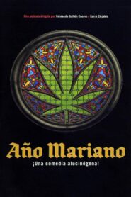 Año Mariano 2000 one on netflix