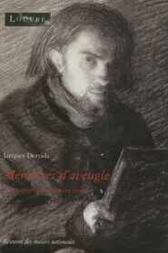 Memoirs of the Blind 1991 one on netflix