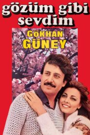 Gözüm Gibi Sevdim 1982 one on netflix