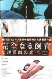 Perfect Education 5: Amazing Story 2004 one on netflix