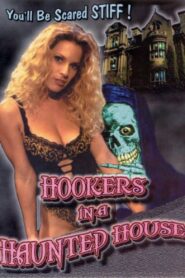 Hookers in a Haunted House 1999 one on netflix