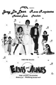 Elvis & James 1989 one on netflix