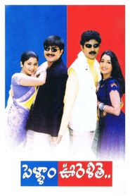 Pellam Oorelithe 2003 one on netflix
