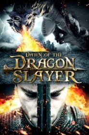 Dawn of the Dragonslayer 2011 one on netflix