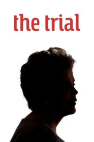 The Trial 2018 one on netflix