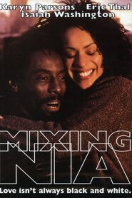 Mixing Nia 1998 one on netflix