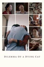 Dilemma Of A Dying Cat 2018 one on netflix