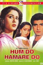 Hum Do Hamare Do 1984 one on netflix