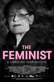 The Feminist: A Swedish Inspiration 2018 one on netflix