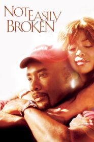 Not Easily Broken 2009 one on netflix