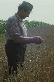 Mikolaš Farmer Worker’s First Holidays 1984 one on netflix