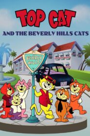 Top Cat and the Beverly Hills Cats 1988 one on netflix
