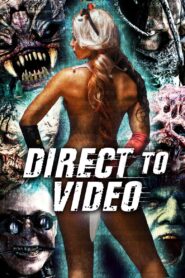 Direct to Video: Straight to Video Horror of the 90s 2019 one on netflix