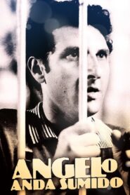 Ângelo Anda Sumido 1997 one on netflix