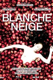 Snow White 2010 one on netflix