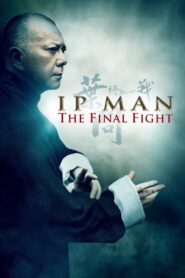 Ip Man: The Final Fight 2013 one on netflix