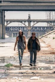 We Sit. We Drink. No Guns. 2015 one on netflix